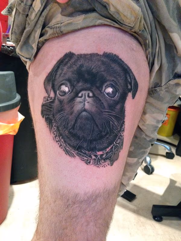 Dog Portrait