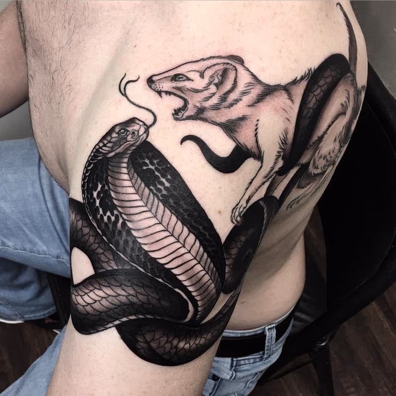 Cobra and Mongoose Black and Grey Tattoo