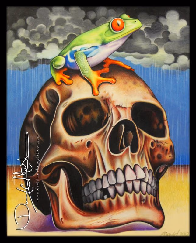 Realistic Frog and Skull - Colored Pencil