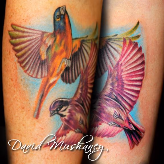 Realistic Birds - Color