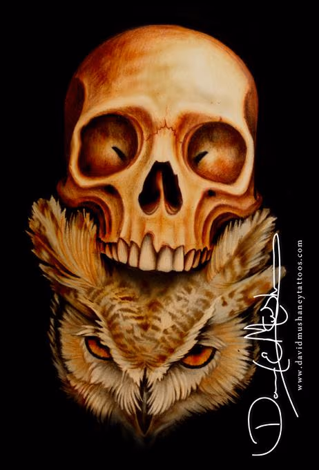 Owl and Skull Drawing