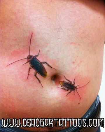 Cockroaches