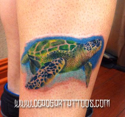 Sea Turtle