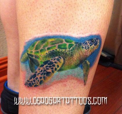 Sea Turtle
