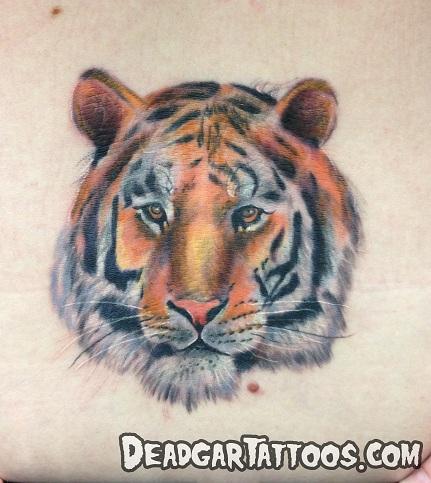 Tiger Tattoo