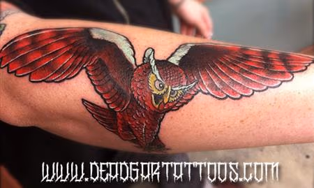 Flying Hoot