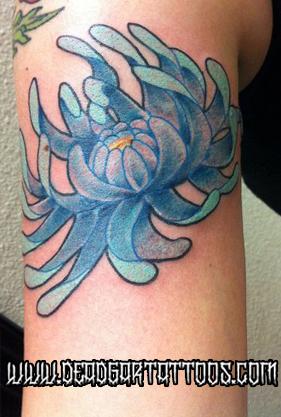 Chrysanthemum