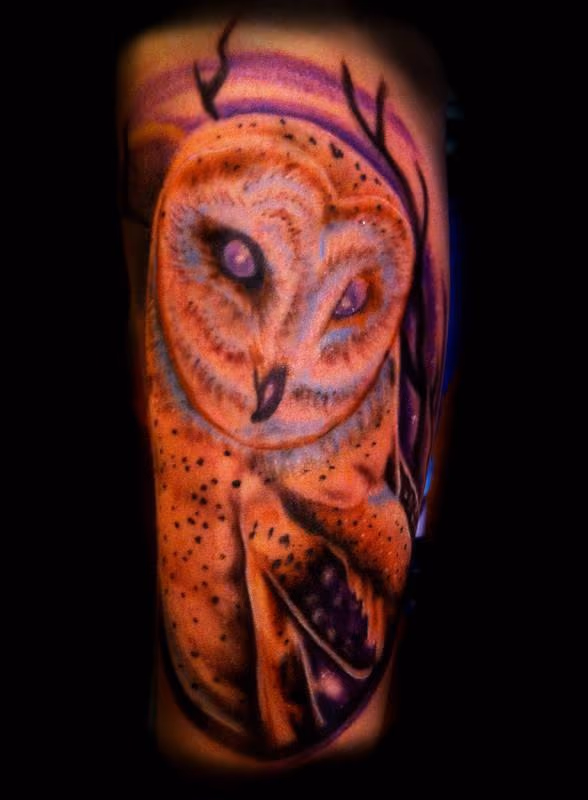 Owl
