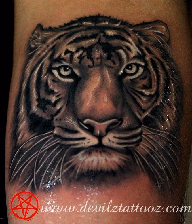 Tiger Tattoo
