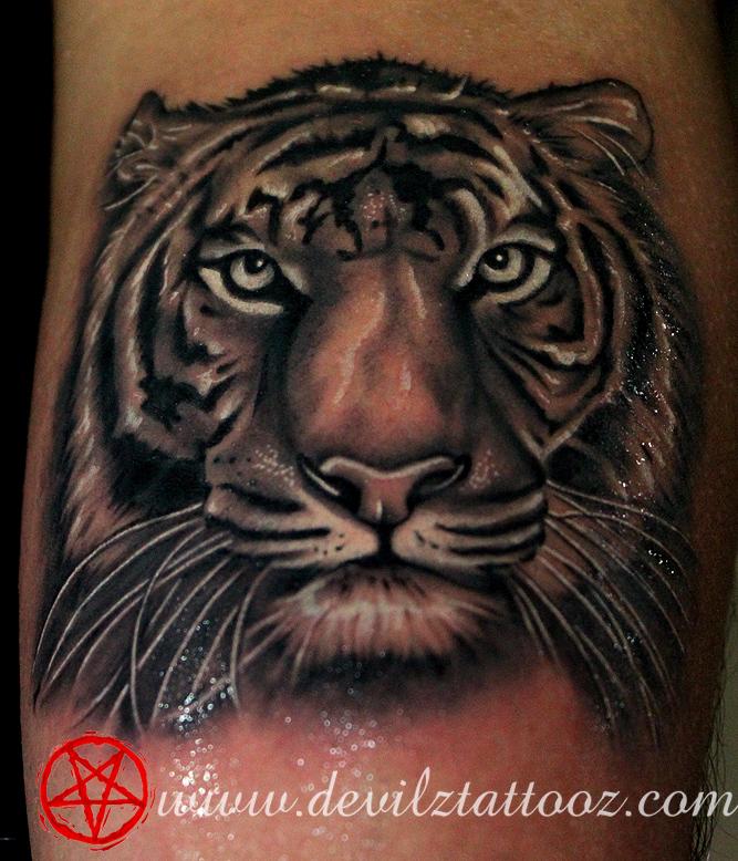 Tiger Tattoo