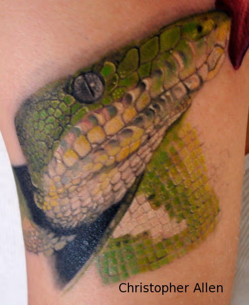 Emerald Tree Boa Snake Tattoo
