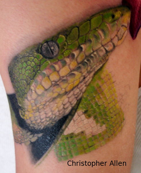 Emerald Tree Boa Snake Tattoo