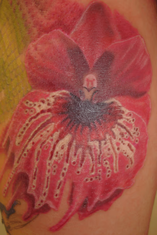 orchid