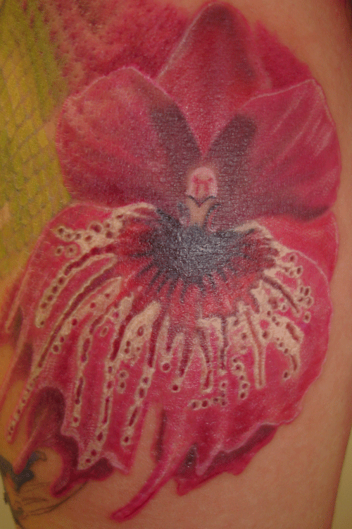 orchid