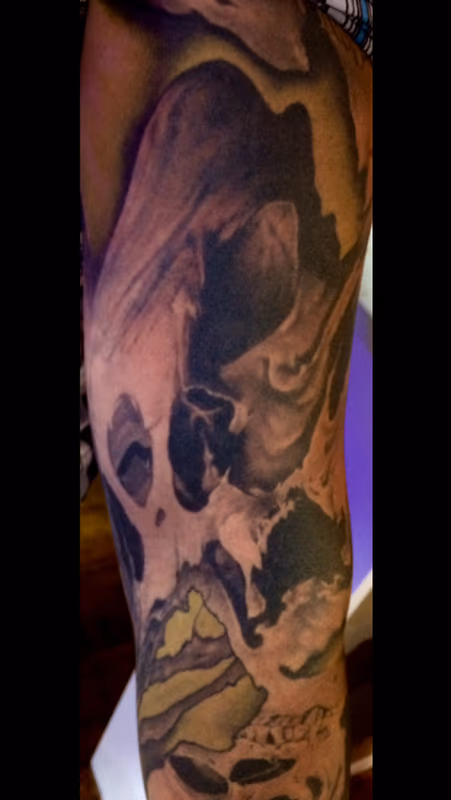 Black and Gray Skull