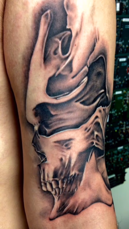 Black and Gray Skull