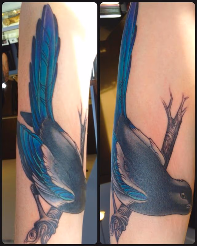 bird color tattoo