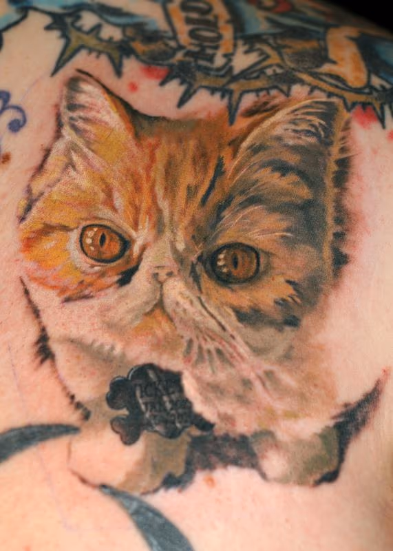 cat portrait tattoo