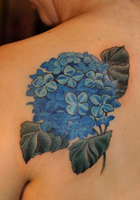 Hydrangea blue flower tattoo