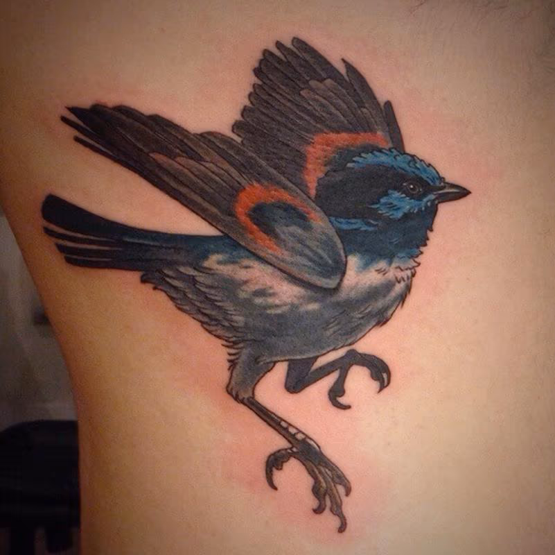 Blue wren bird tattoo