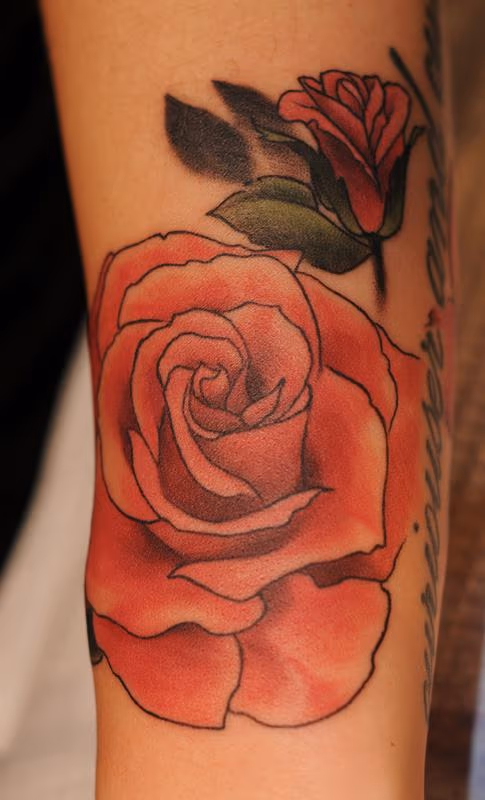pink rose color tattoo