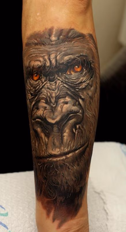 Silverback gorilla