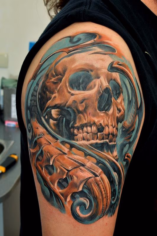Skull