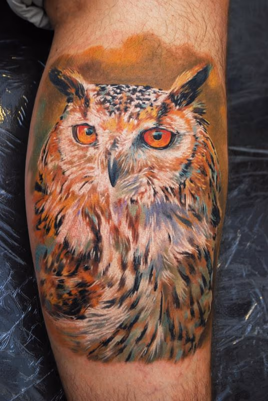 Owl