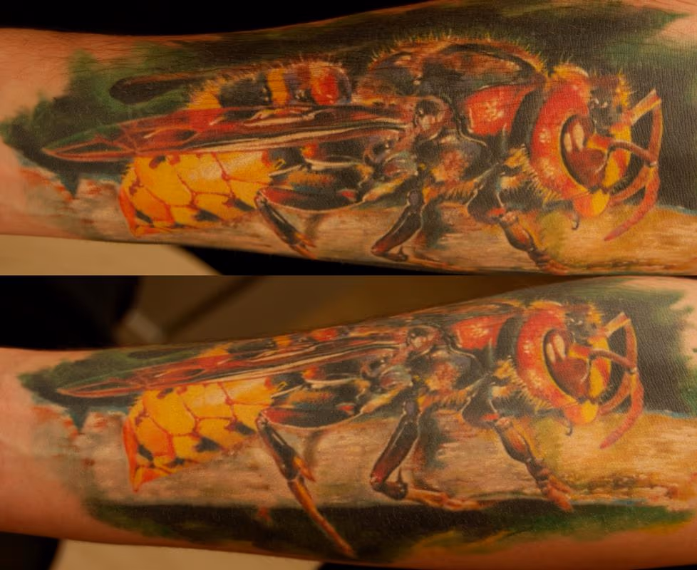 Realistic Wasp