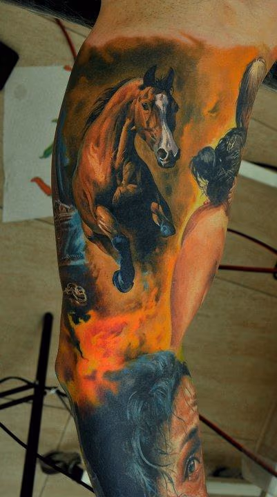 Arabian Horse