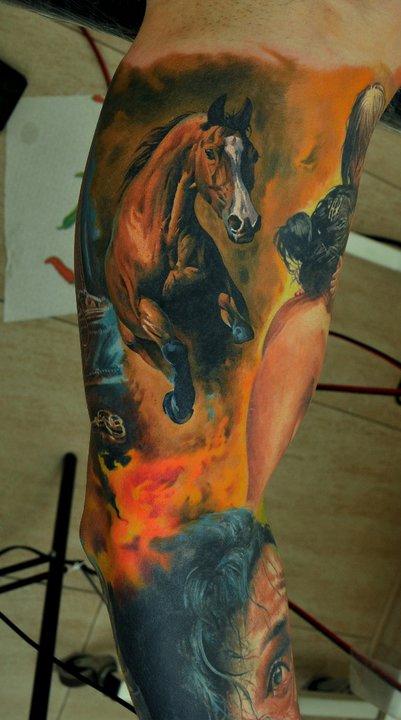 Arabian Horse