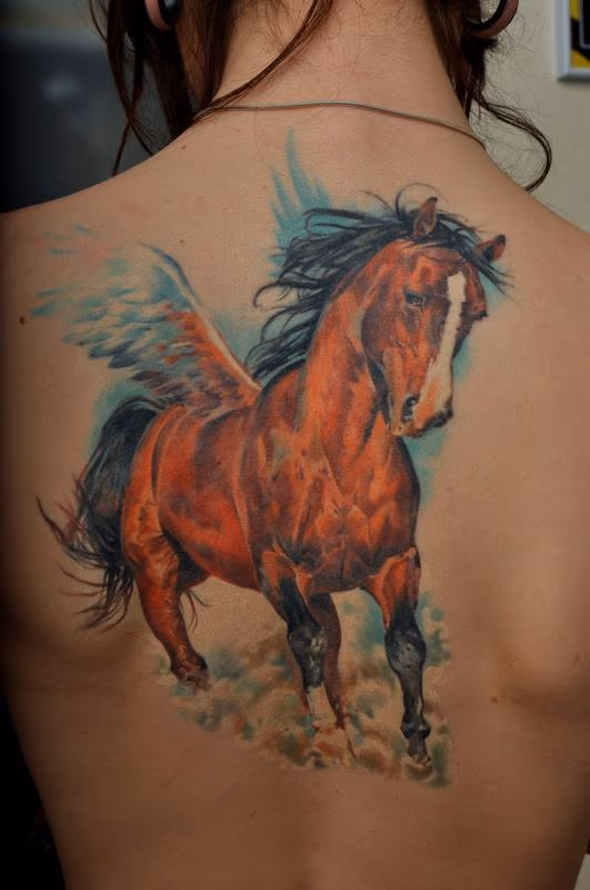 Horse
