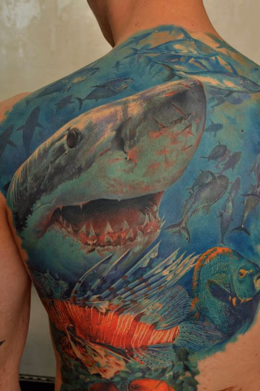 Shark