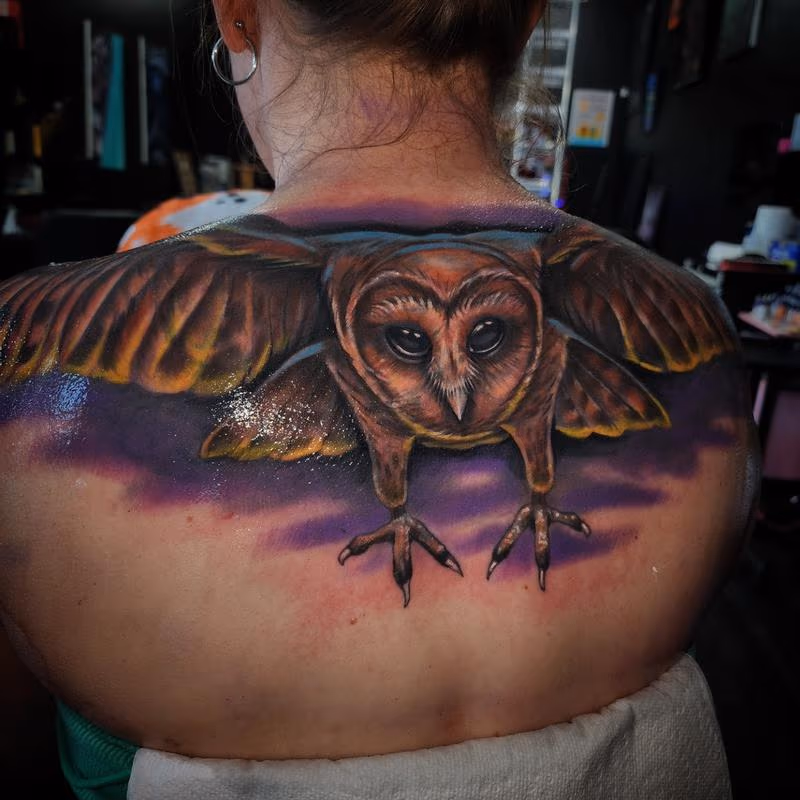 Owl