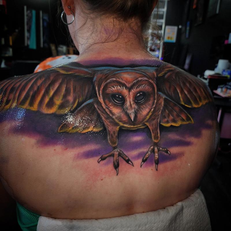 Owl