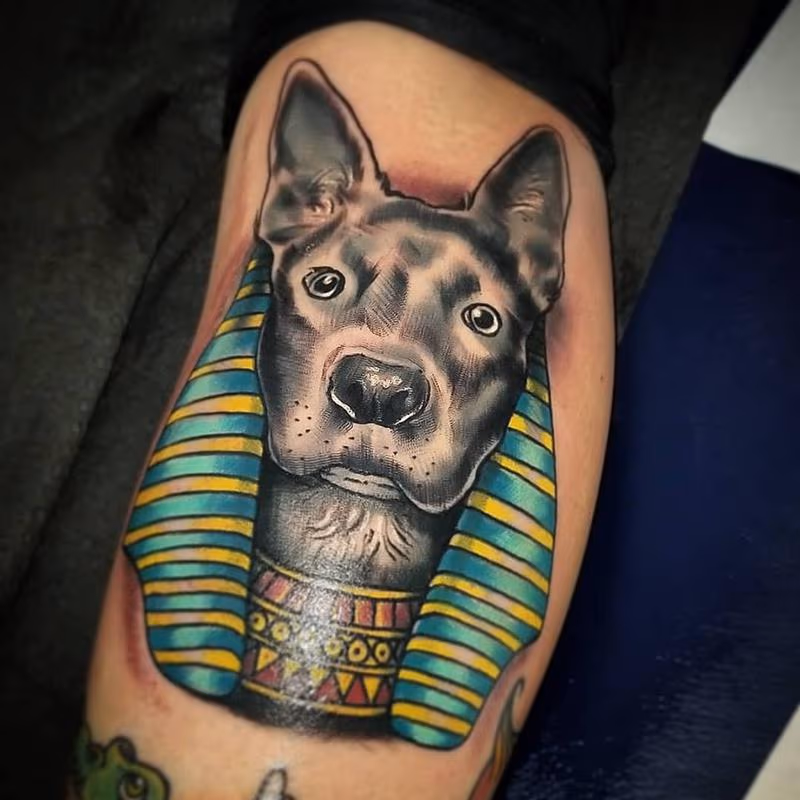 DoggoSphynx
