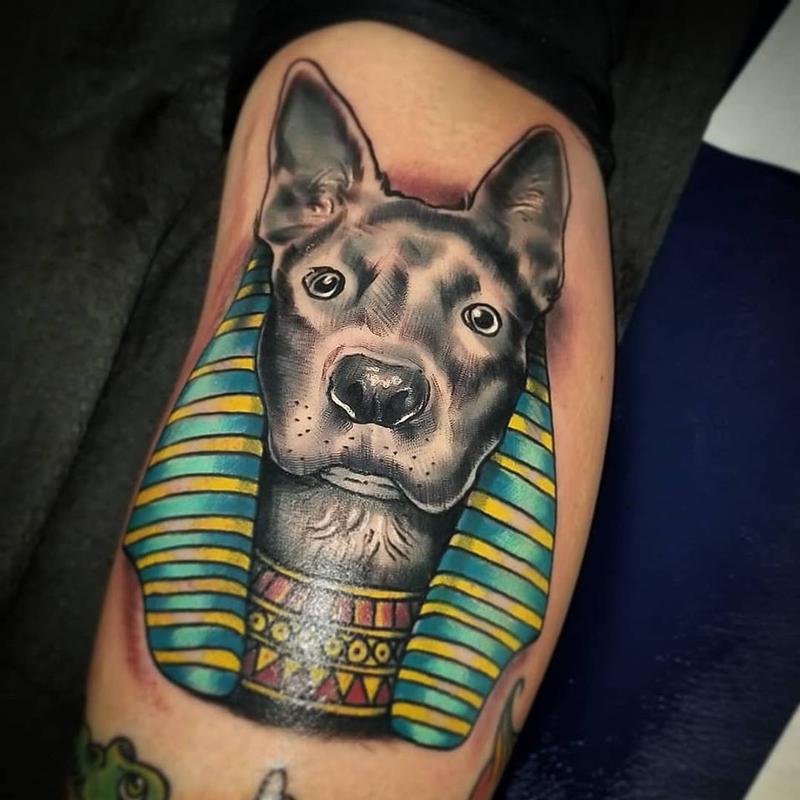 DoggoSphynx