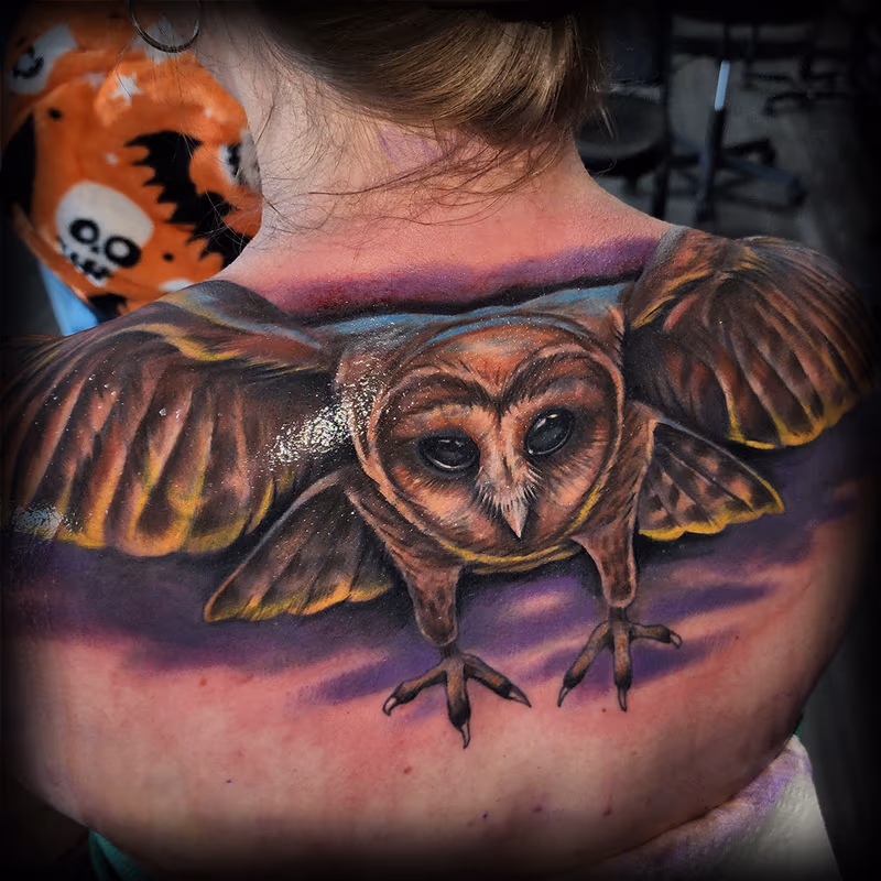 Owl