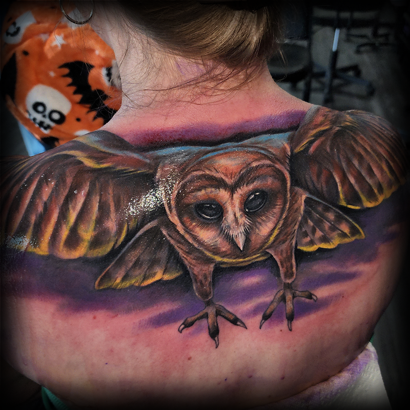Owl