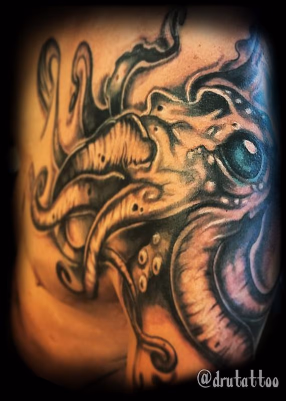 Squid