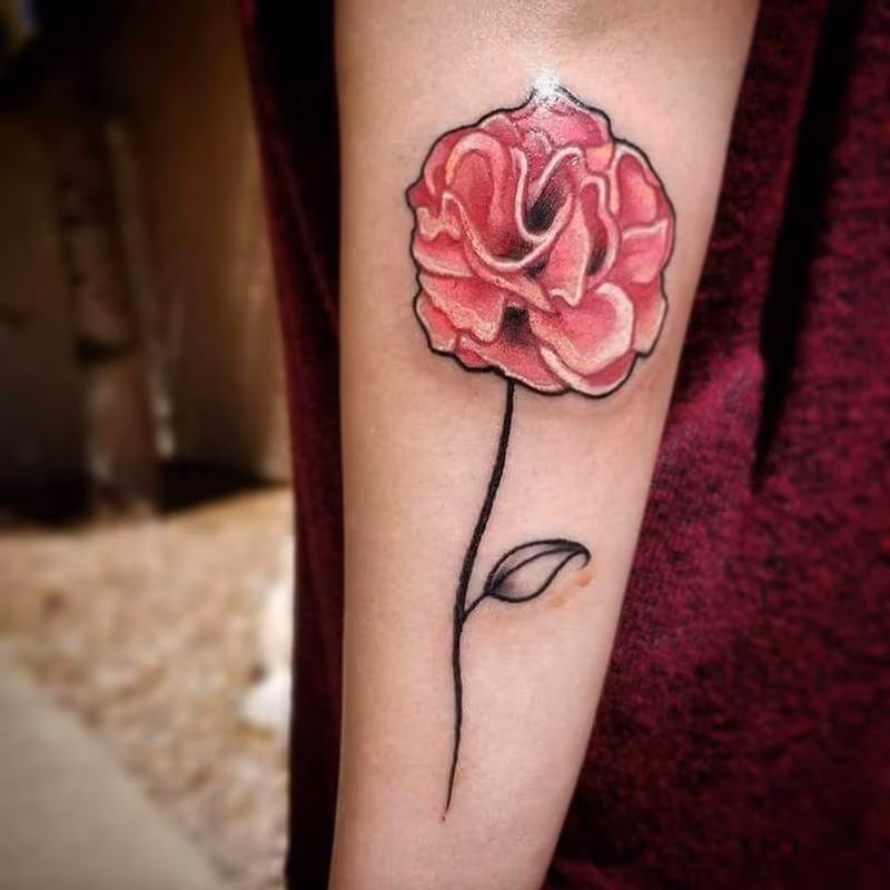 Carnation