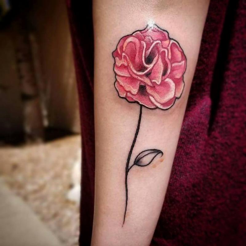 Carnation