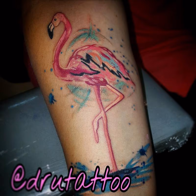 Flamingo