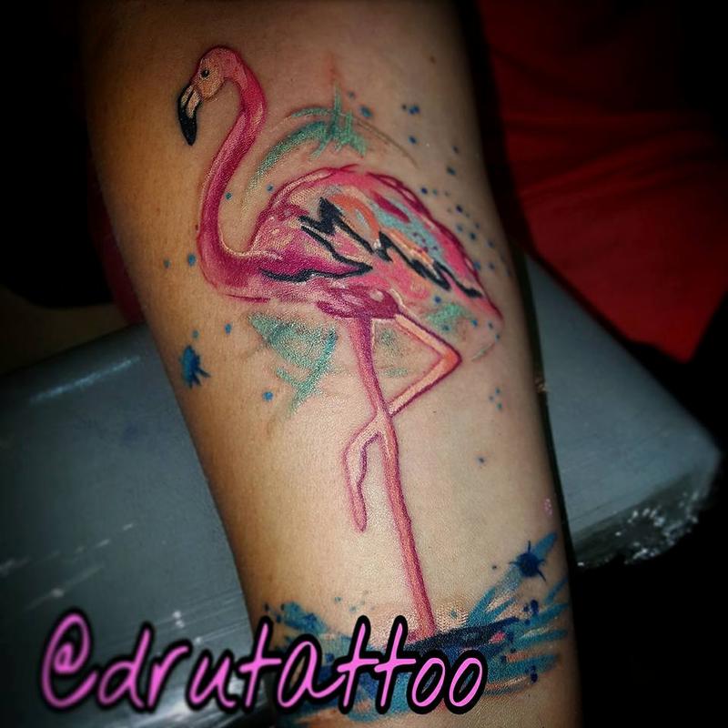 Flamingo
