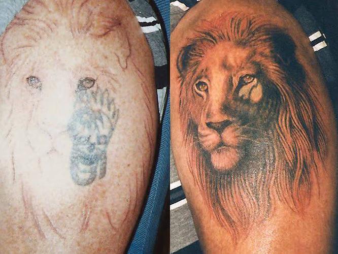 Lion Cover-up