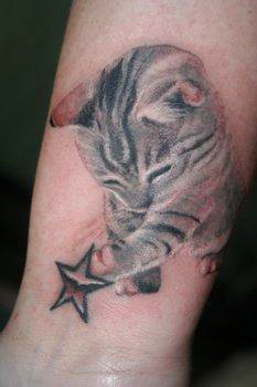 Kitty Star