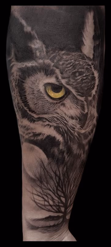 owl and moon