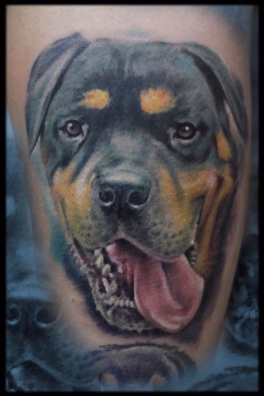 Dog Portrait