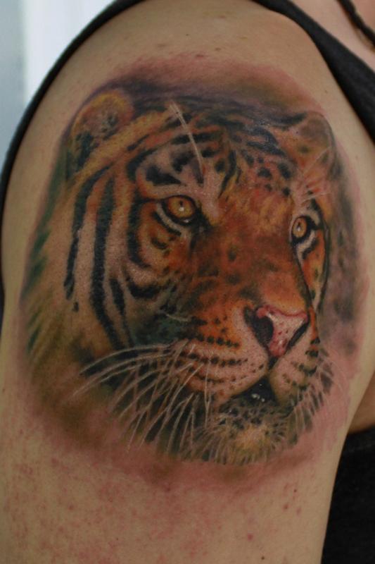 Tiger