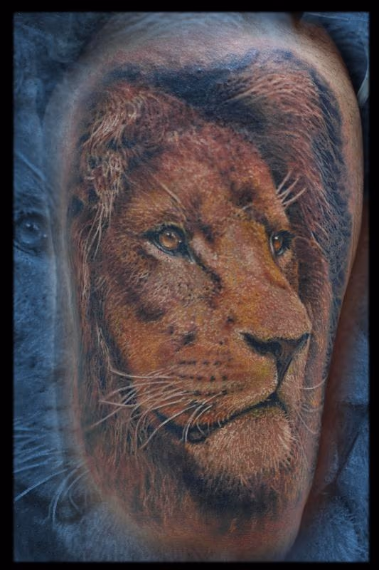 Lion